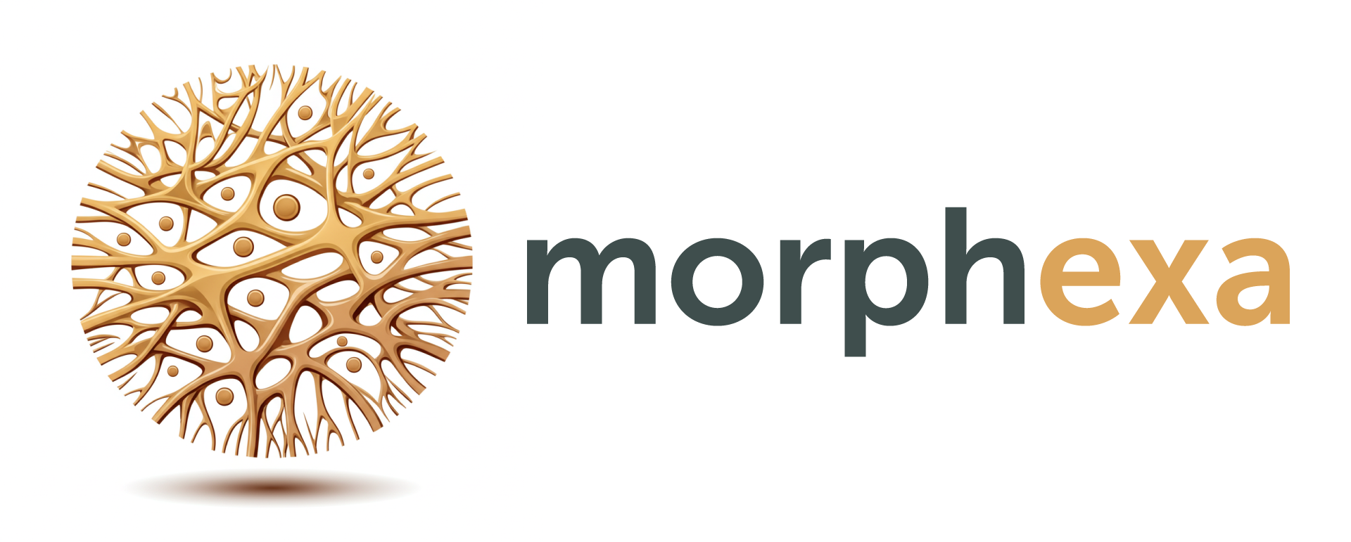 Morphexa logo